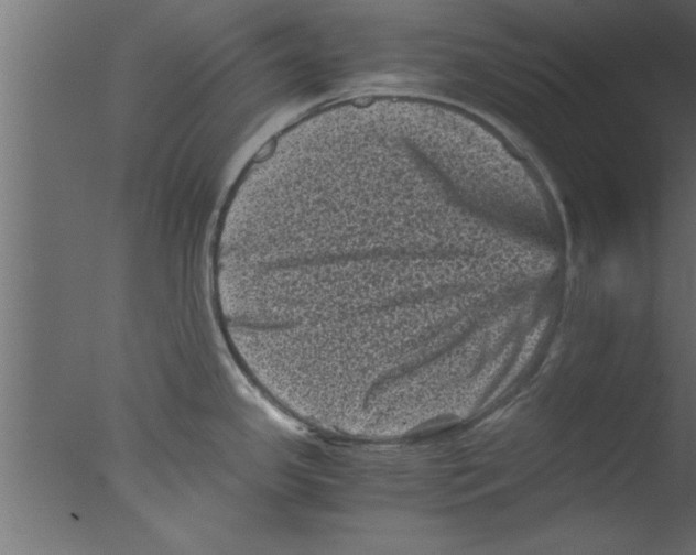 X0000076031341200610201817