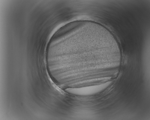 X0000076031342200610201817