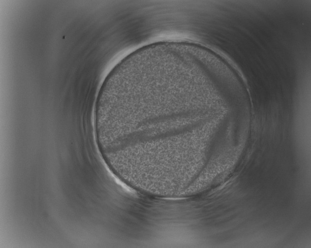 X0000076031343200610201817