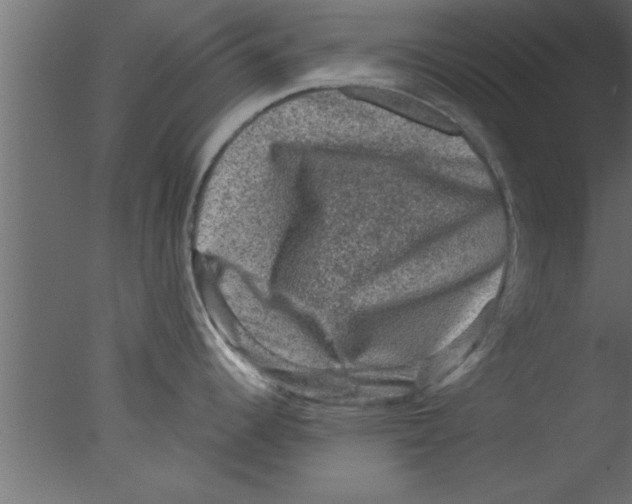 X0000076031344200610201817