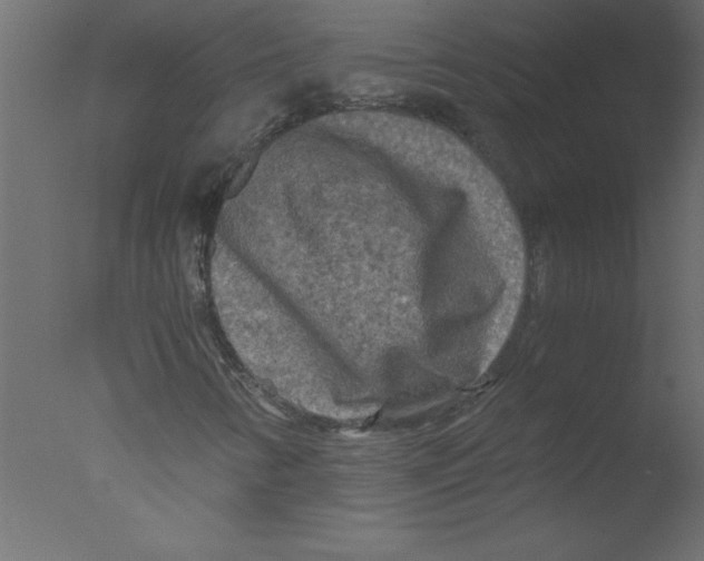 X0000076031346200610201816