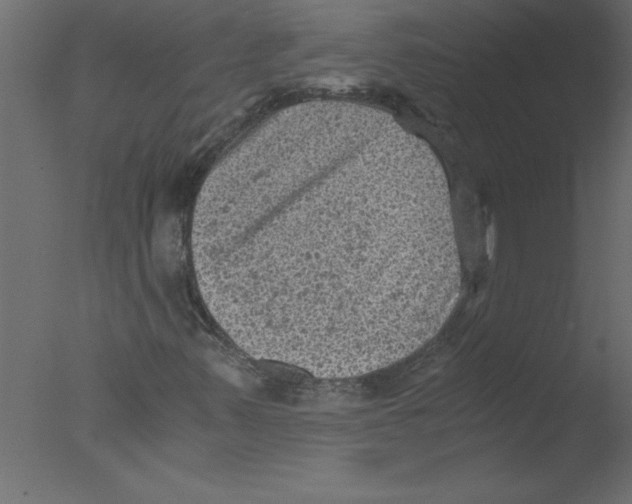 X0000076031347200610201816