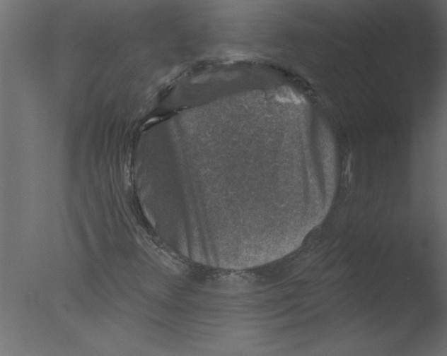 X0000076031348200610201816