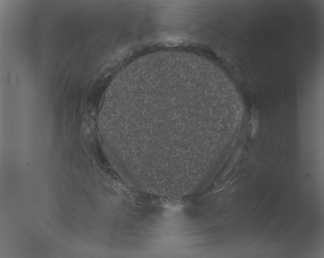 X0000076031349200610201816