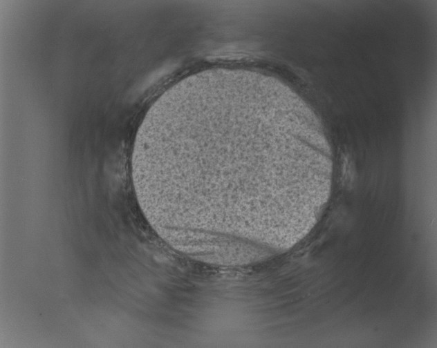 X0000076031350200610201816