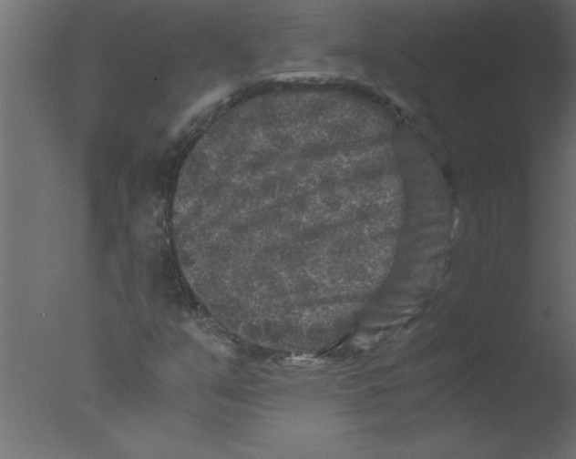 X0000076031351200610201816