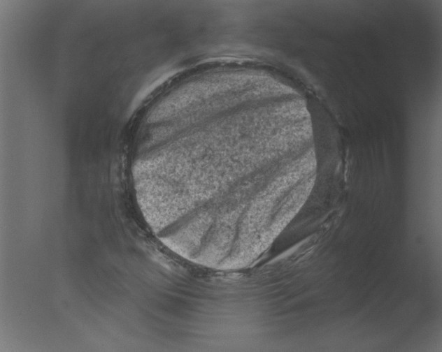 X0000076031352200610201816