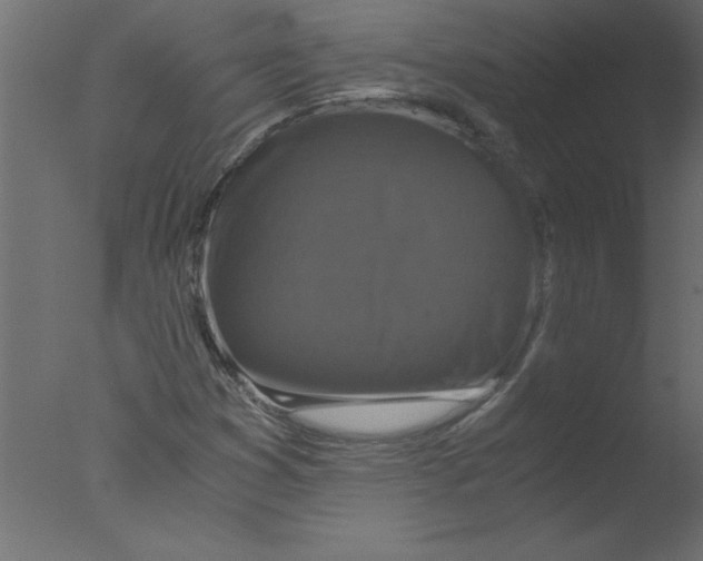 X0000076031353200610201816