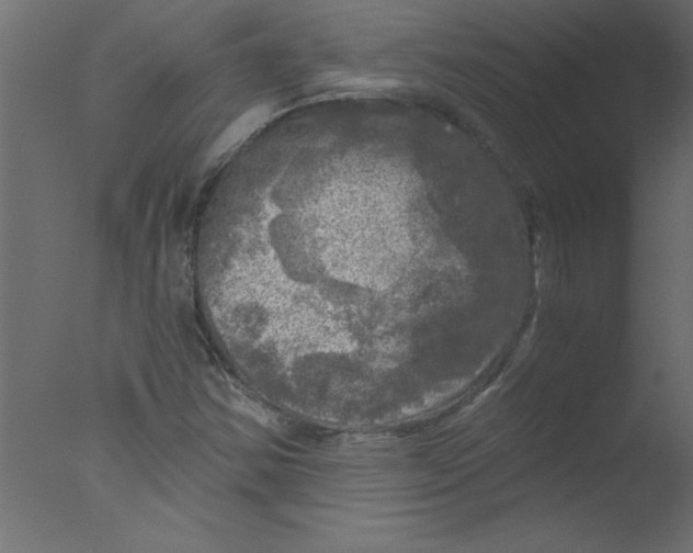 X0000076031354200610201816