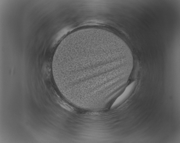 X0000076031355200610201816