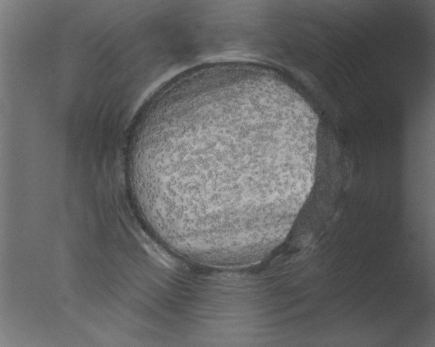 X0000076031356200610201816