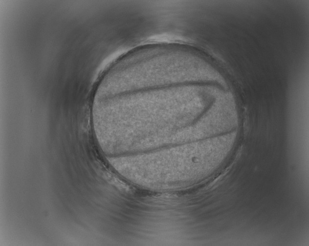 X0000076031358200610201816