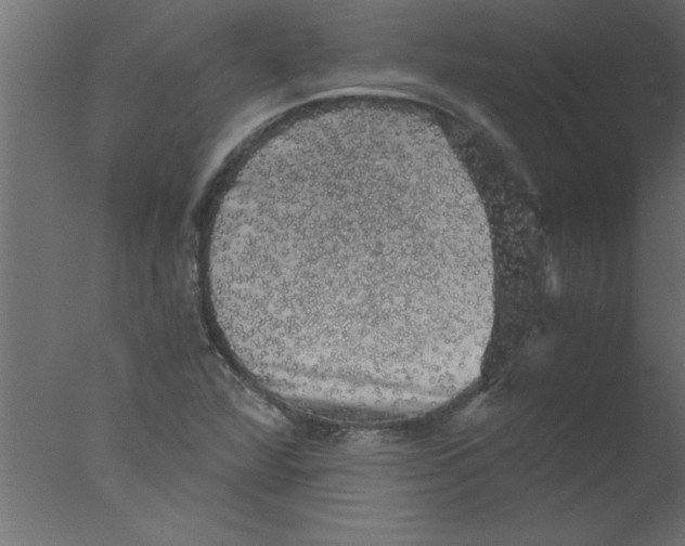 X0000076031360200610201816