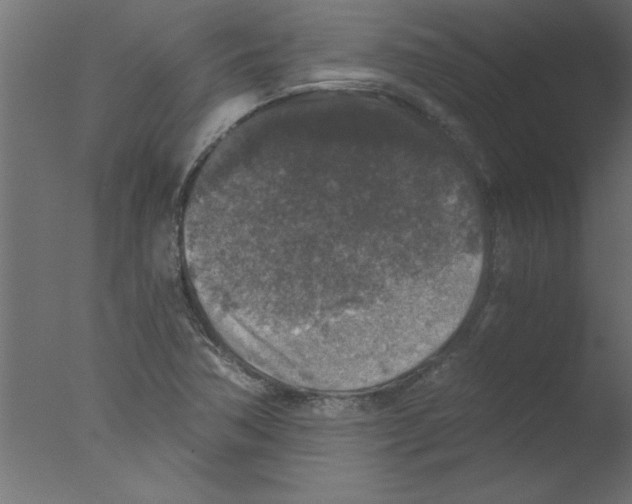 X0000076031362200610201816