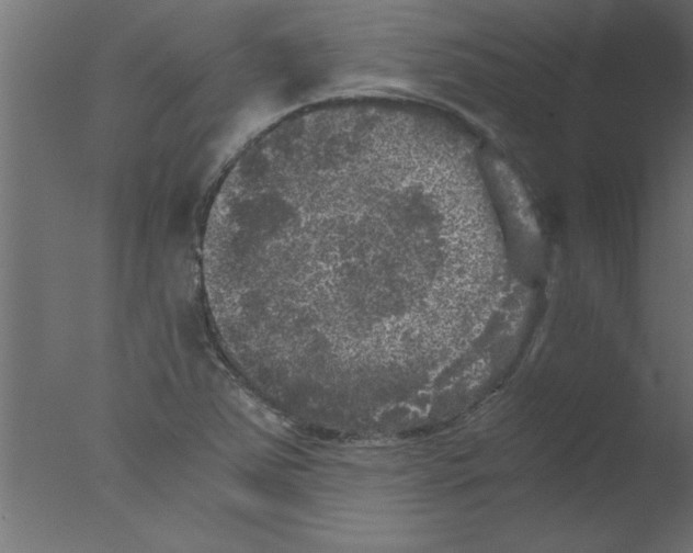 X0000076031363200610201816