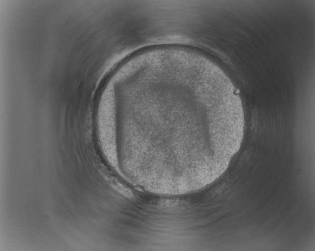 X0000076031364200610201816