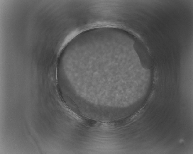 X0000076031365200610201816