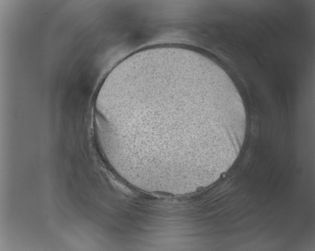 X0000076031366200610201816