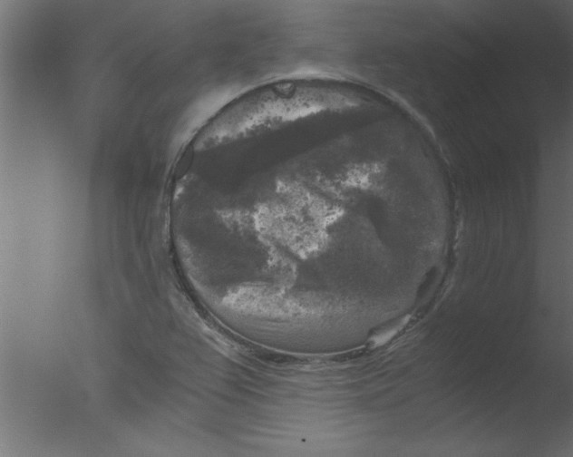 X0000076031367200610201816