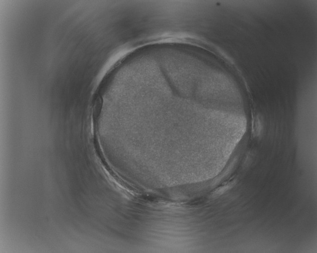 X0000076031368200610201816