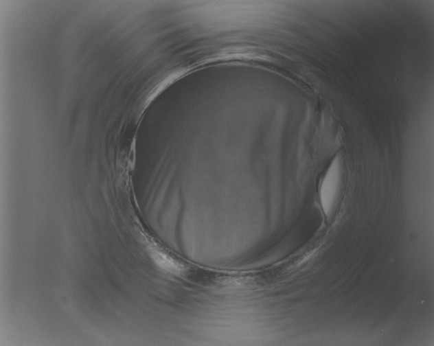 X0000076031369200610201816