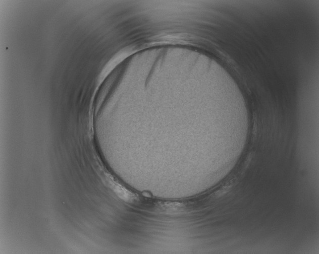 X0000076031370200610201816