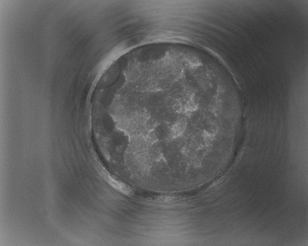 X0000076031371200610201816