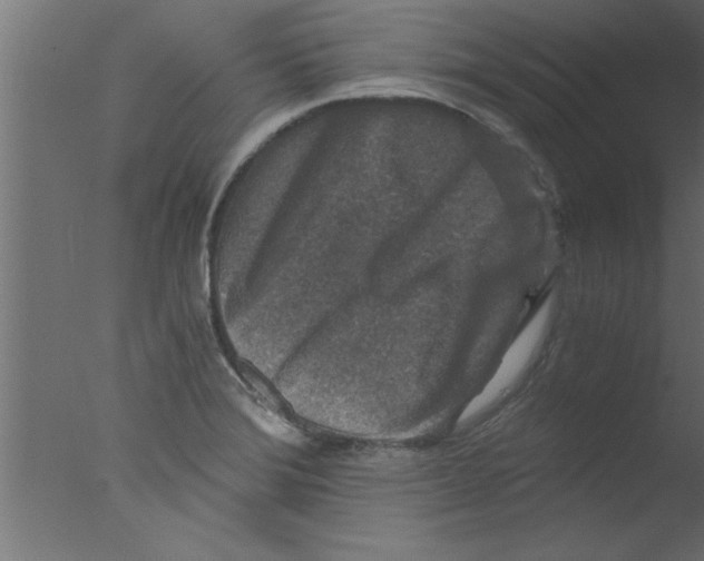 X0000076031372200610201816