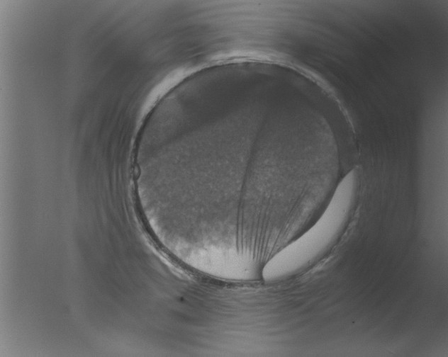 X0000076031373200610201816