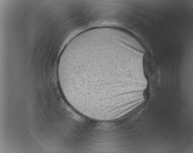 X0000076031374200610201816