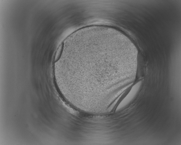 X0000076031375200610201816