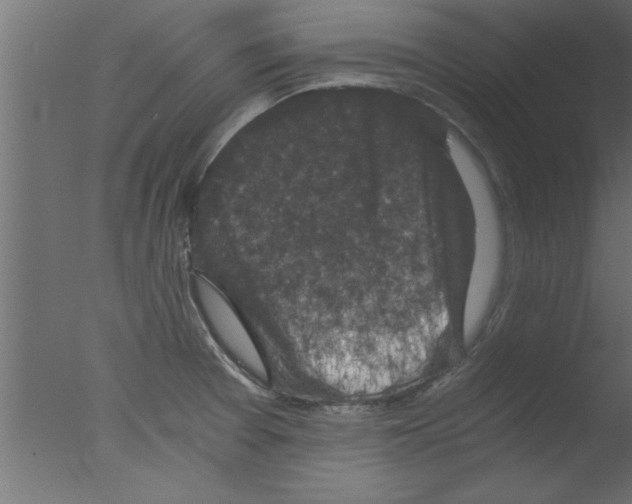 X0000076031377200610201816