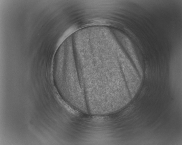 X0000076031378200610201816