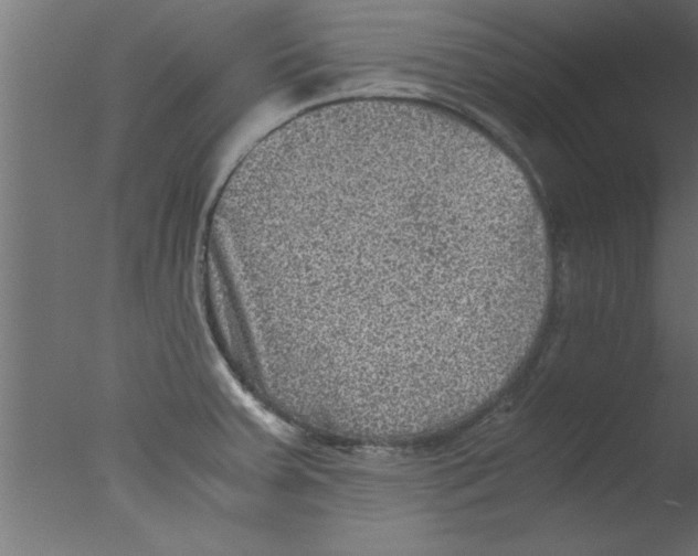 X0000076031379200610201816