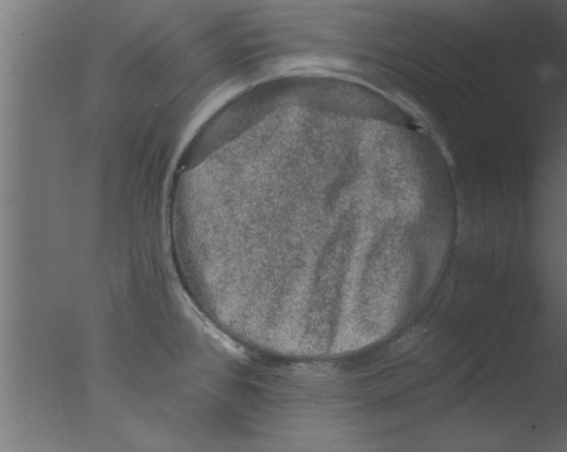 X0000076031384200610201816