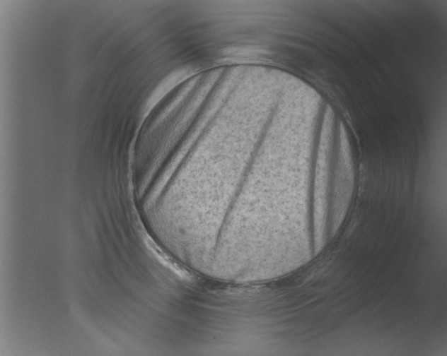 X0000076031386200610201816