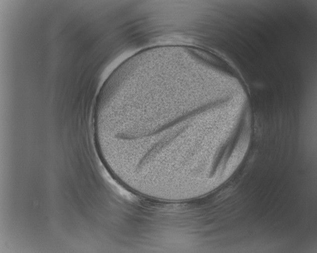 X0000076031387200610201816