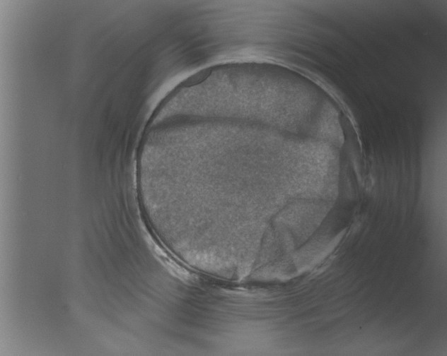 X0000076031388200610201816