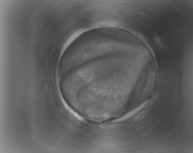 X0000076031389200610201816