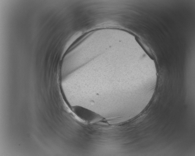 X0000076031390200610201816