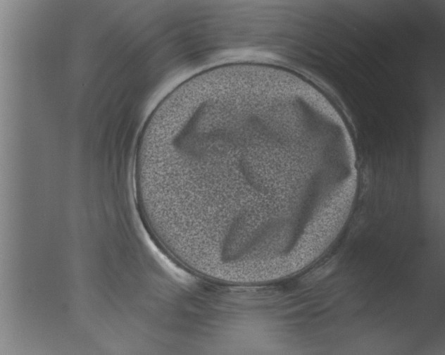 X0000076031391200610201816