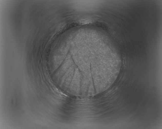 X0000076031393200610201815