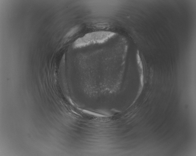 X0000076031394200610201815