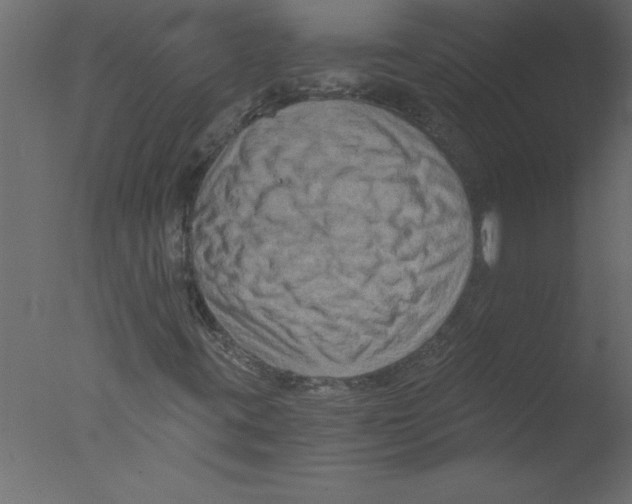 X0000076031395200610201815