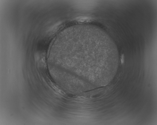 X0000076031396200610201815