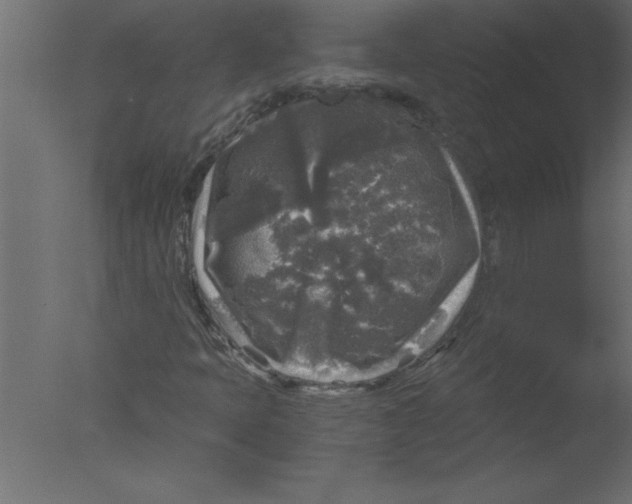 X0000076031397200610201815