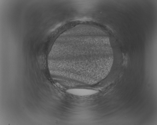 X0000076031398200610201815