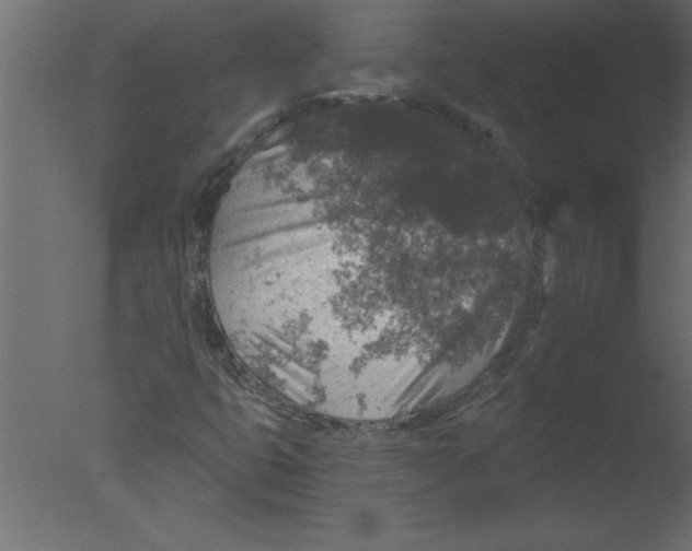 X0000076031399200610201815