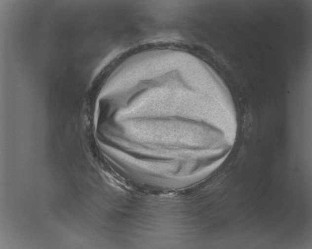 X0000076031400200610201815