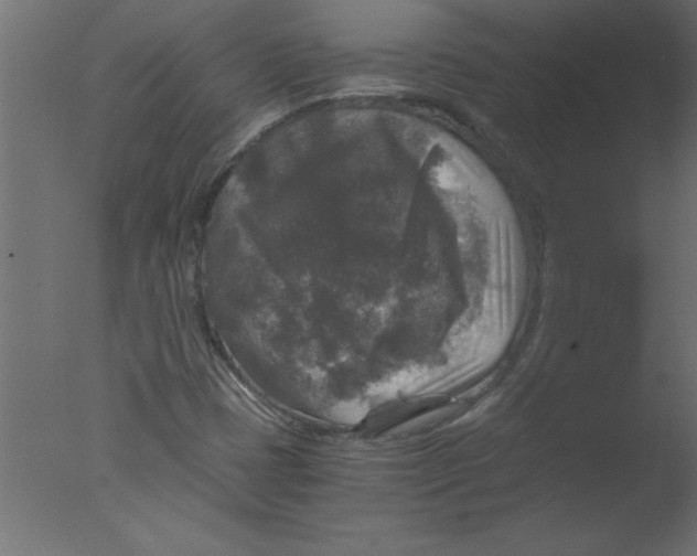 X0000076031401200610201815